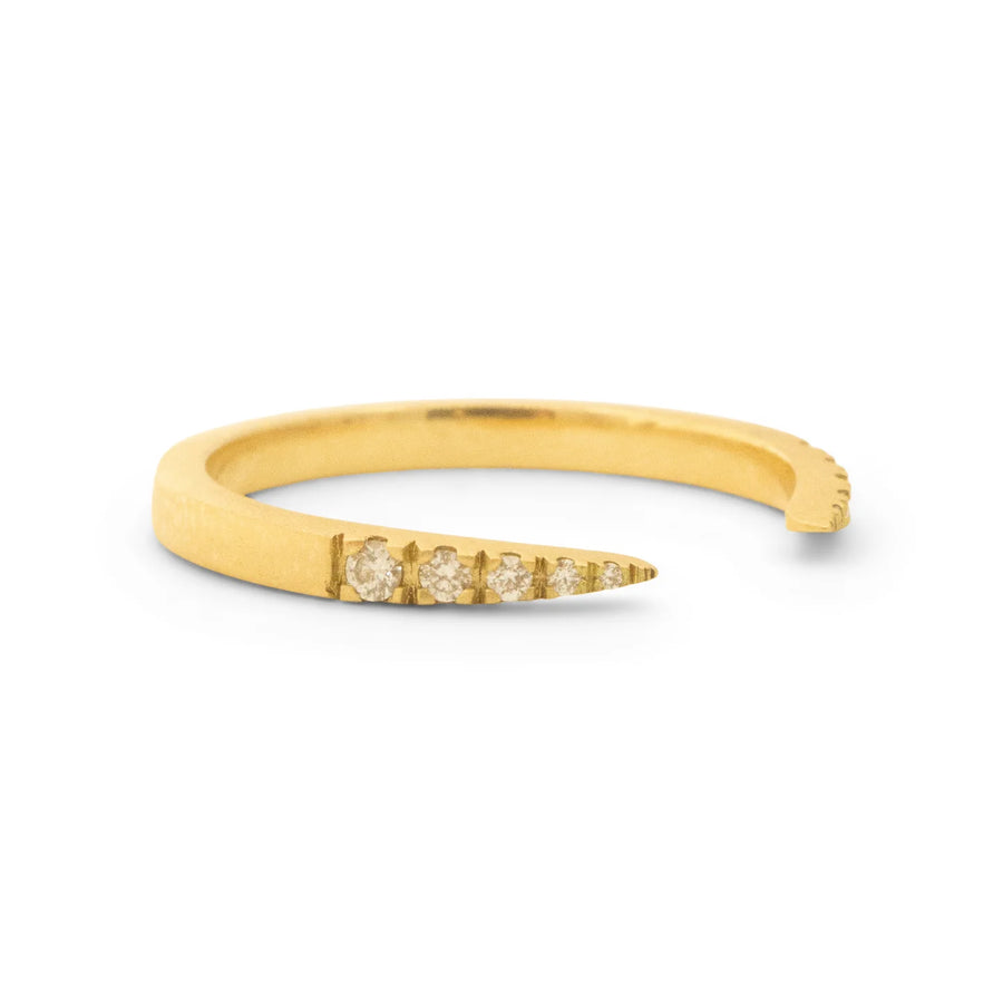 Diamond Horseshoe Band
