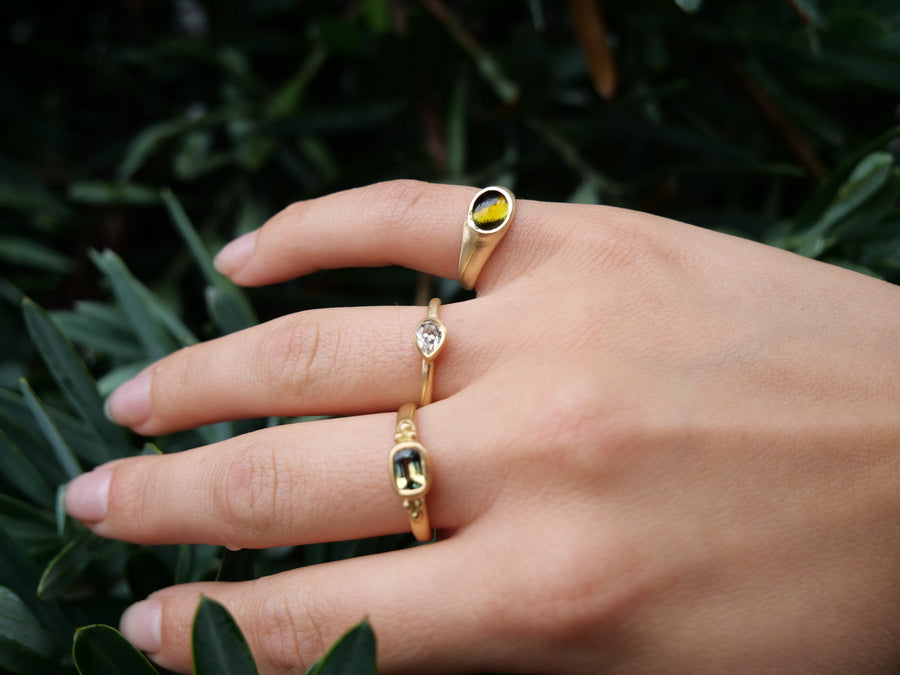 Hand wearing two gold rings with gemstones against a dark green leafy background