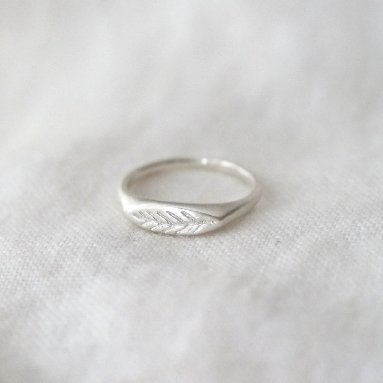 Sterling Silver Olive Branch Signet Ring | Marisa Mason Jewelry